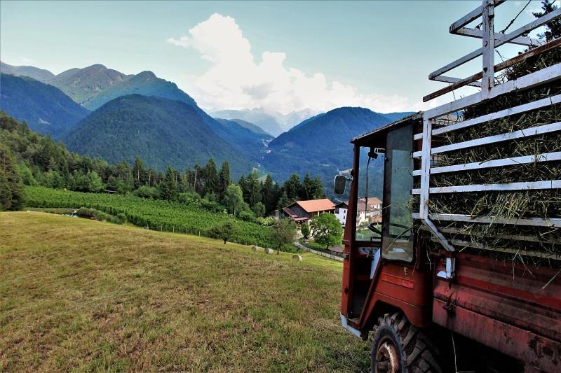 فيلا Koflhof Urlaub Auf Dem Bauernhof ألدينو المظهر الخارجي الصورة